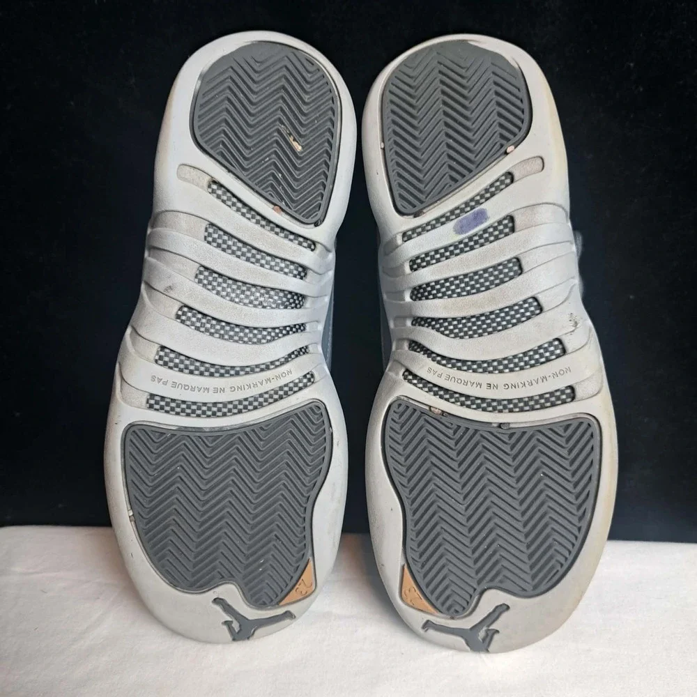 Nike Air Jordan 12 XII Retro GS Grey Wolf 153265-005 Youth Size 4.5 Y Suede